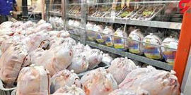 مرغ در کردستان با نرخ مصوب تنظیم بازار عرضه می شود