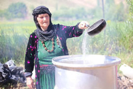 جشنوار گل و گلاب در روستای تاریخی و گردشگری امروله کردستان
